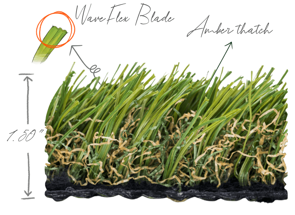 Spring Fescue®